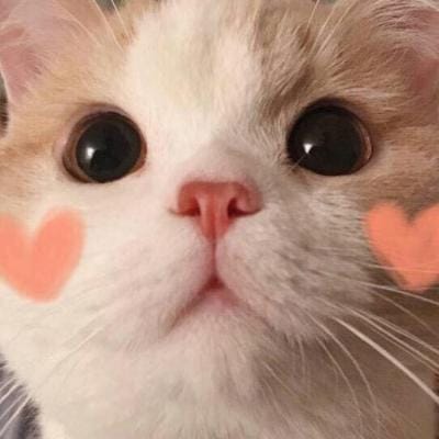 Sinta Bella avatar